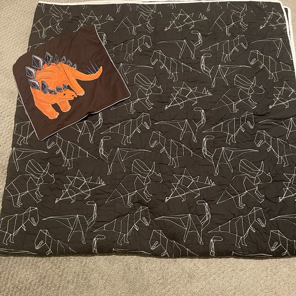 Pottery Barn Kids full/queen size quilt and pillow cover